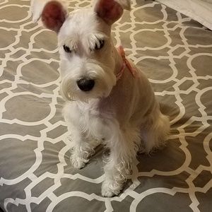 Meet your Posher, Ana